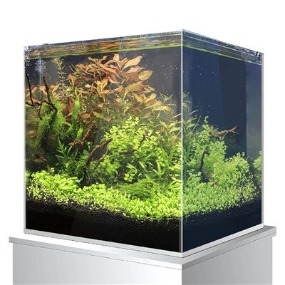 Gran tanque nano